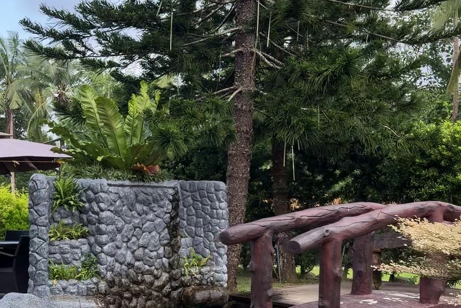 Stone garden wall with ferns and a wooden footbridge
