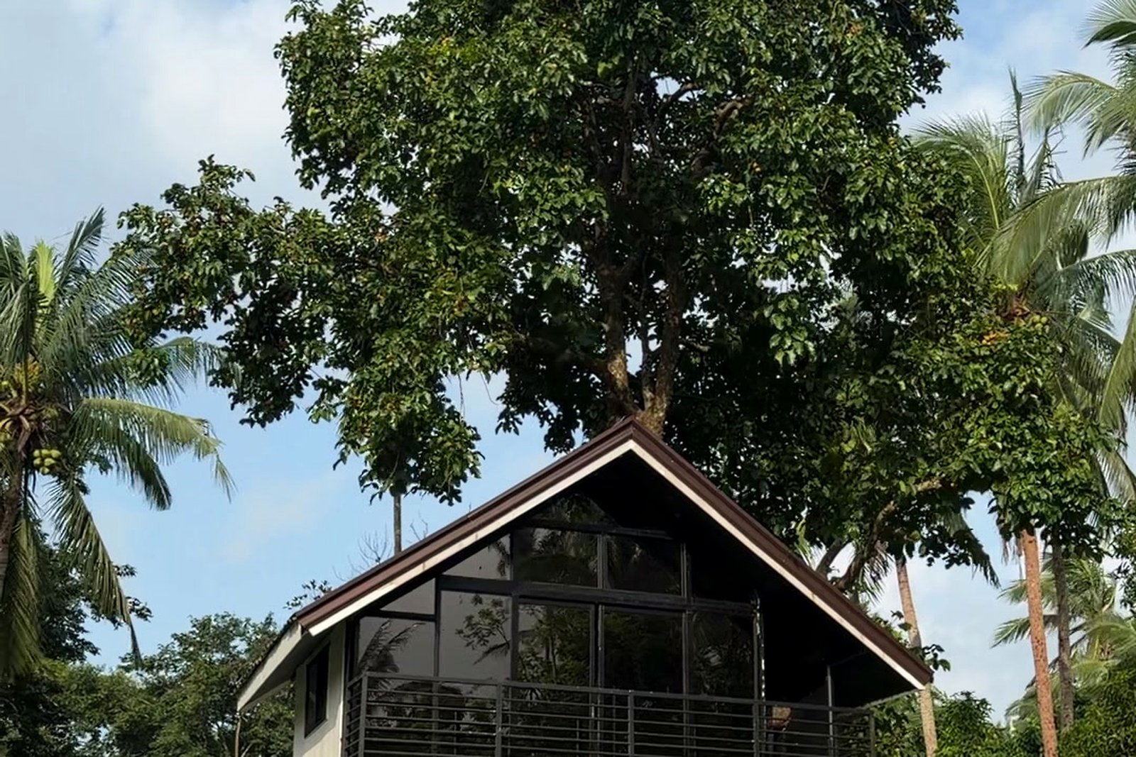 A-Frame Villa rooftop framed by palm trees